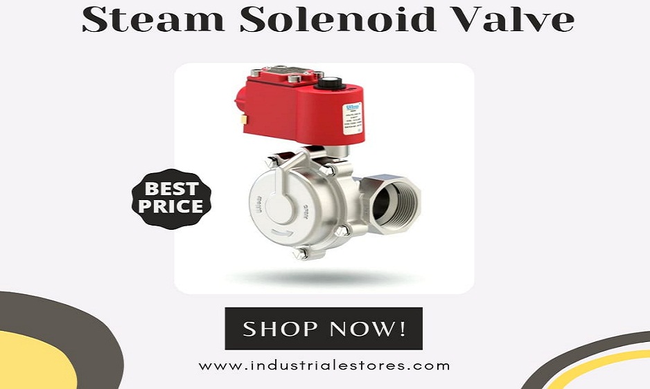 Steam Solenoid Valve