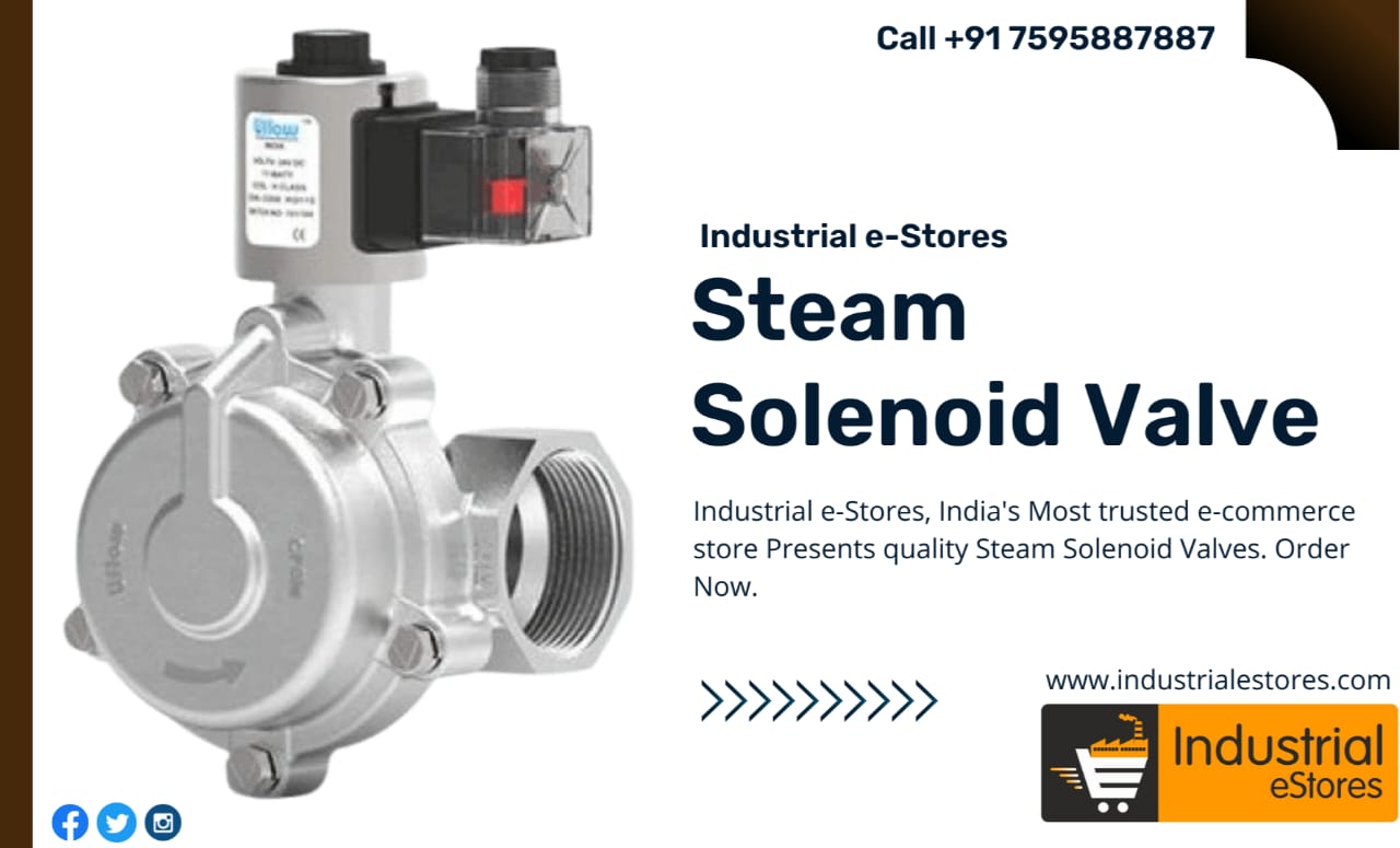 Steam Solenoid Valve