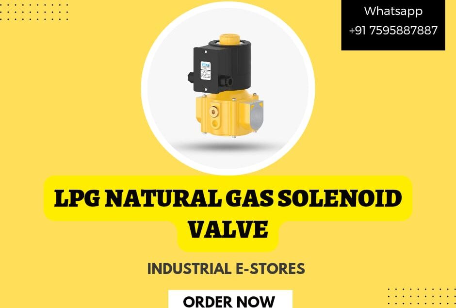 Lpg Natural Gas Solenoid Valve