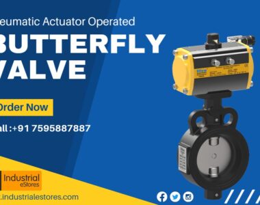 Pneumatic actuator operated butterfly valve